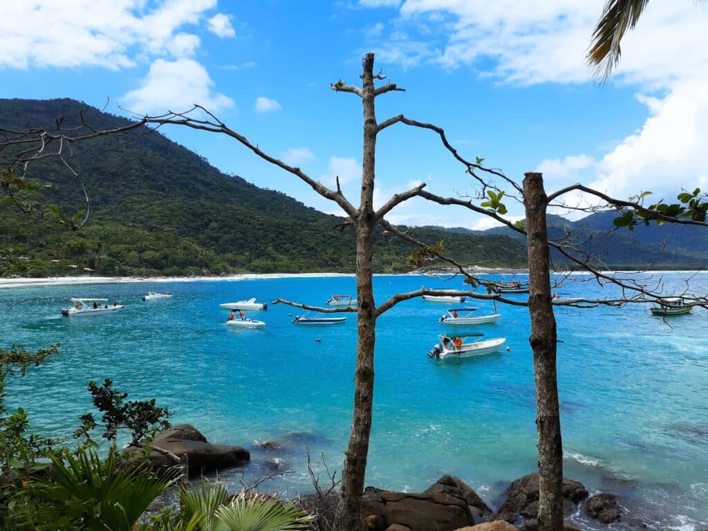 Imagem de uma das praias de Ilha Grande. Na parte da frente há algumas pedras, dois troncos de árvores e algumas folhagens, no meio está o mar com alguns barcos e no fundo há uma montanha.