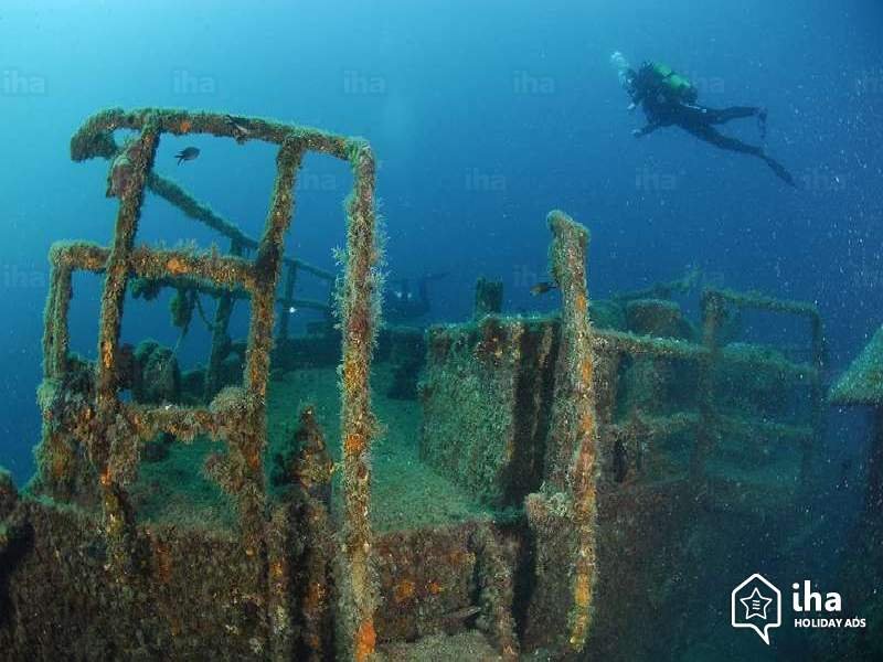 embarcação naufragada coberta de musgo com um mergulhardor passando por cima, no canto superior direito da imagem