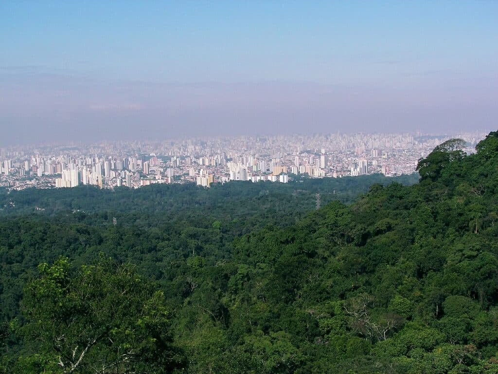Vista da Serra da Cantareira. Muitas árvores na frente e depois prédios e casas de longe.
